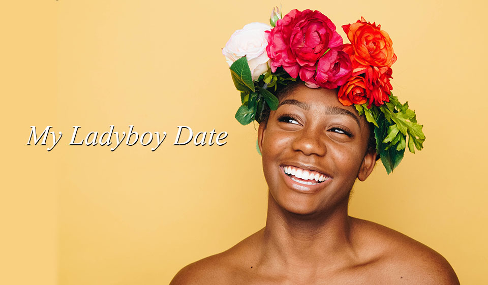 Myladyboydate Review 2024 – Perfect or Scam?