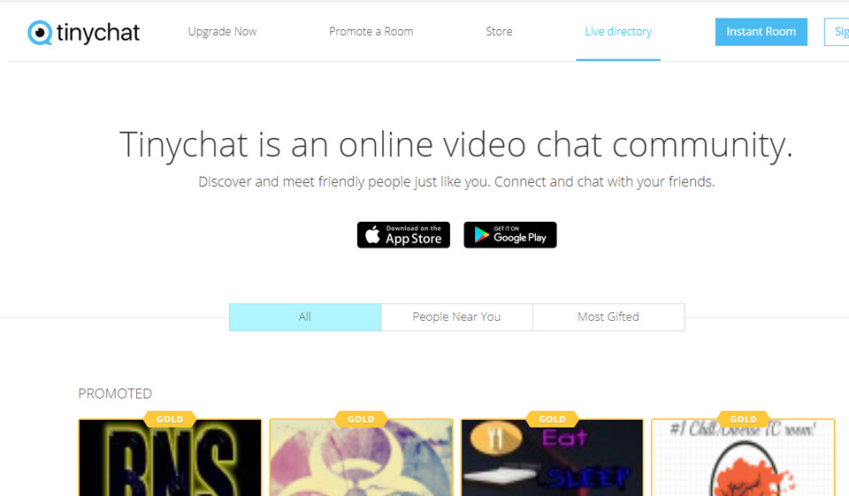 TinyChat Review 2024 – Perfect or Scam?